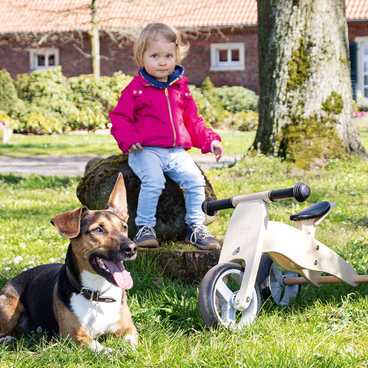 Drveni bicikl bez pedala & tricikl Pinolino Charlie natur 7