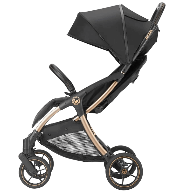 Sportska kolica AVOVA City Ranger [Black Gold]